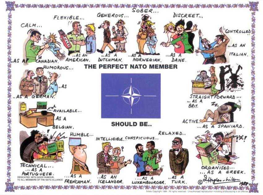 The Perfect NATO Member Should Be...